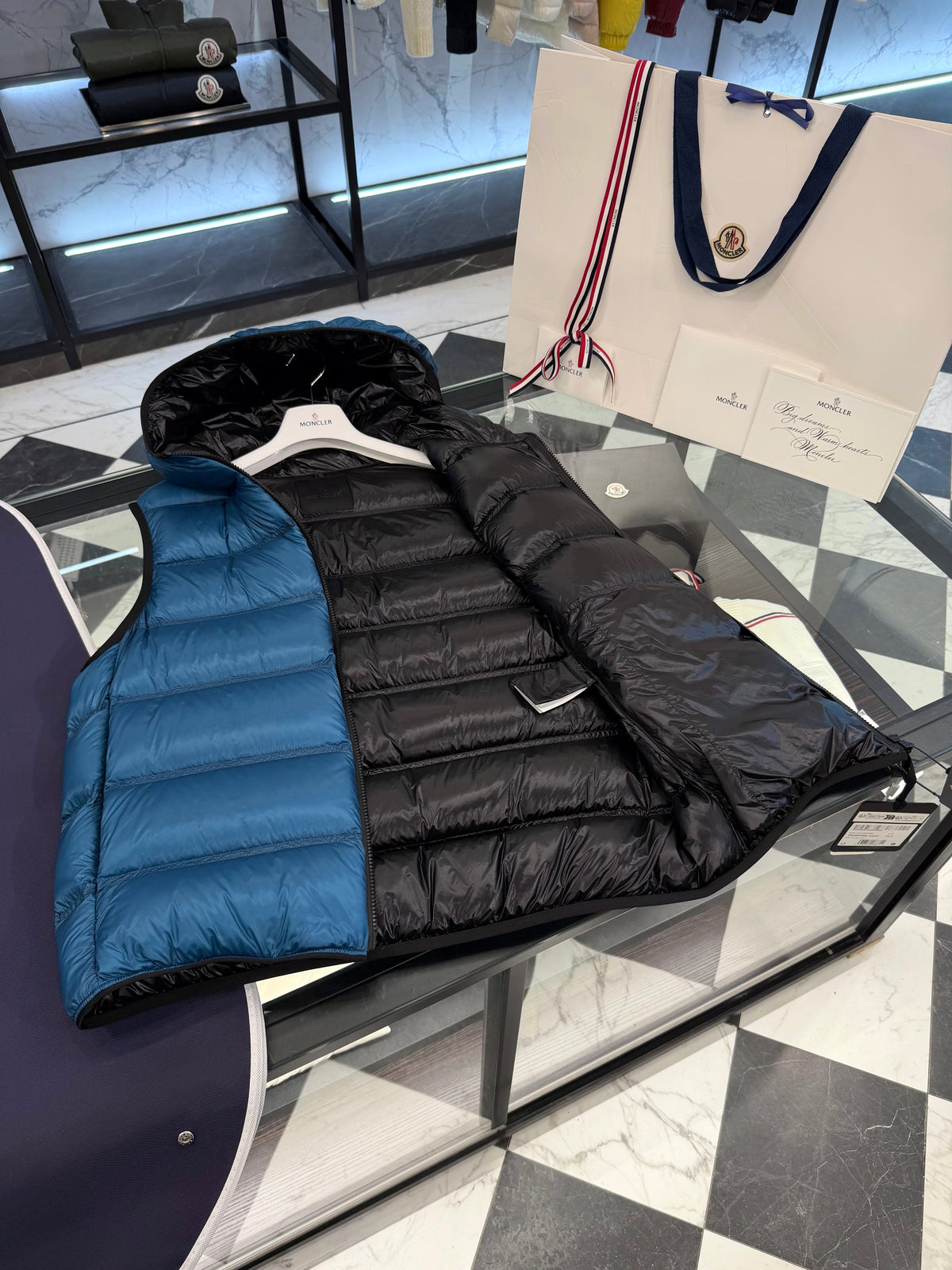 Panestrel down vest